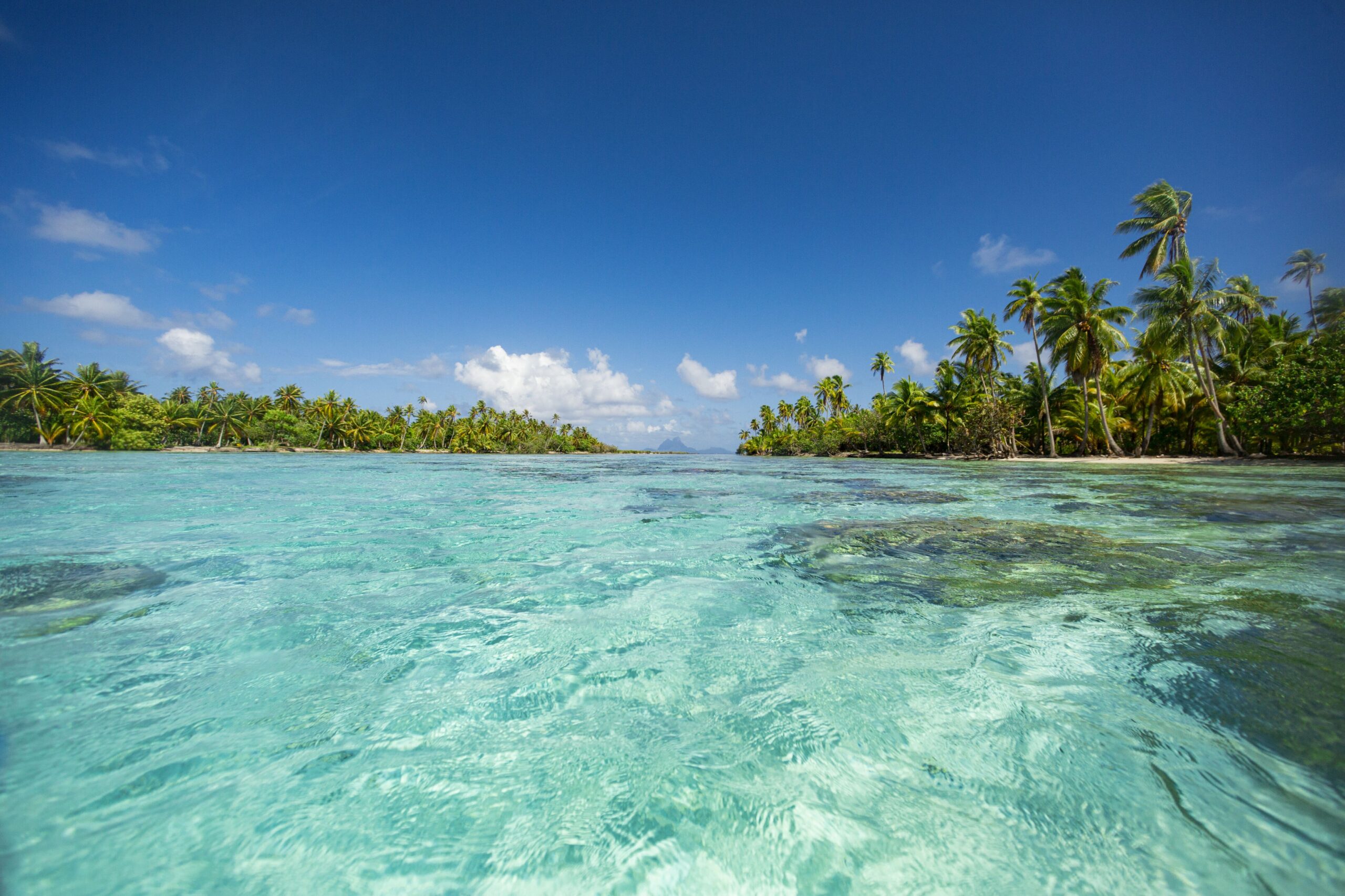 Visite du Lagon de Tahaa avec Papa zoulou adventures